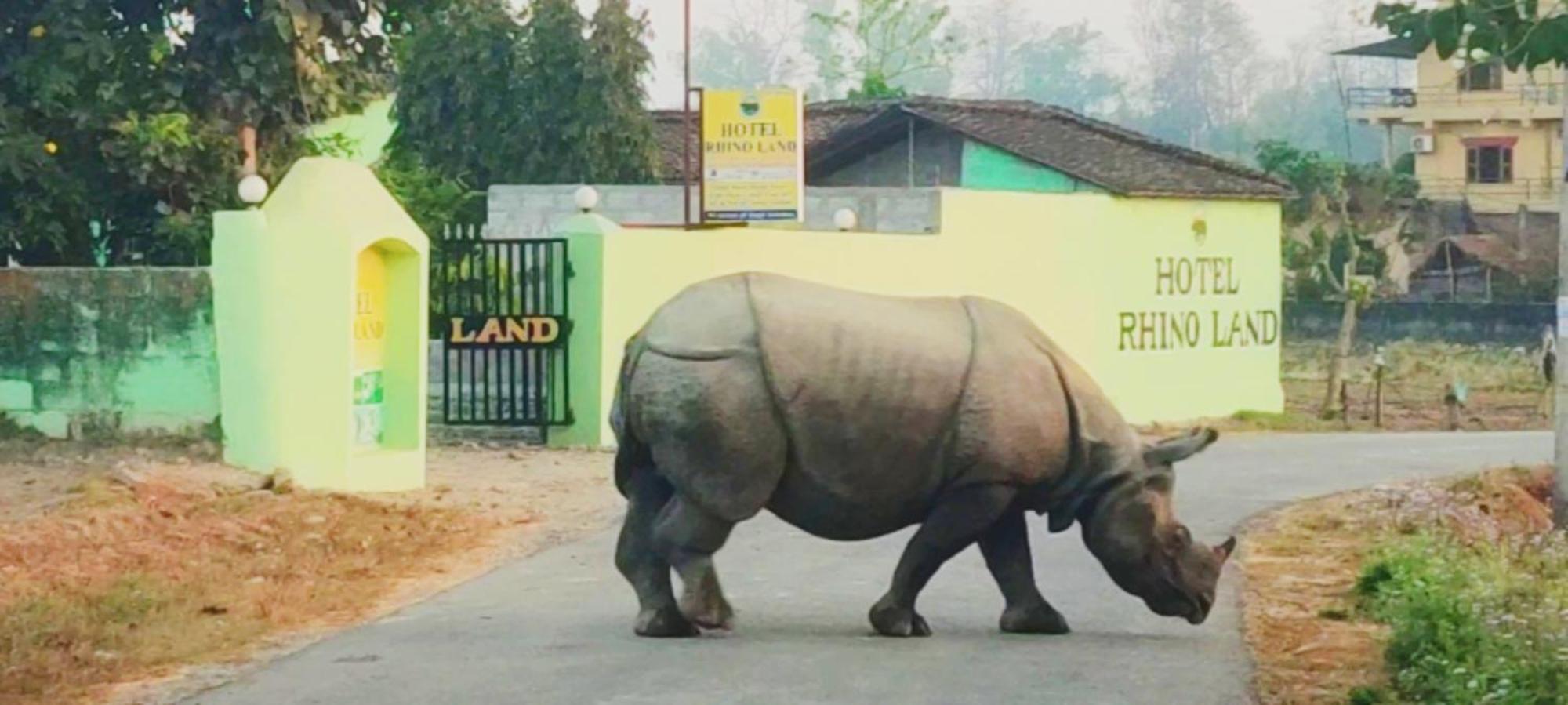 Hotel Rhino Land, Саураха Экстерьер фото